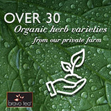Bravo Tea 6 Mushroom Defense Herbal Tea, Caffeine Free 20 Tea Bags, 1 Count