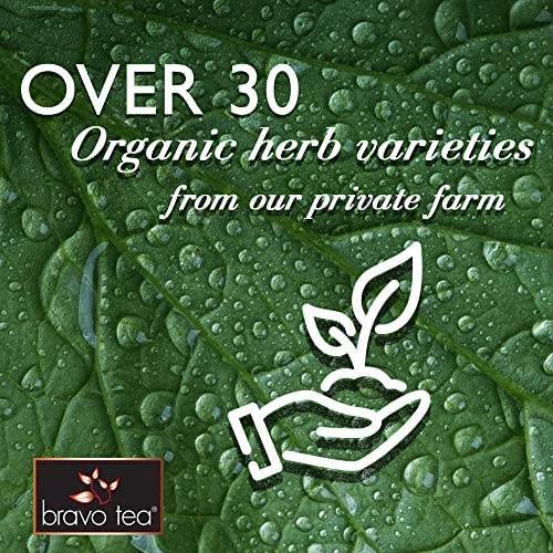Bravo Tea Maitake Mushroom Herbal Tea, Caffeine Free 20 Tea Bags
