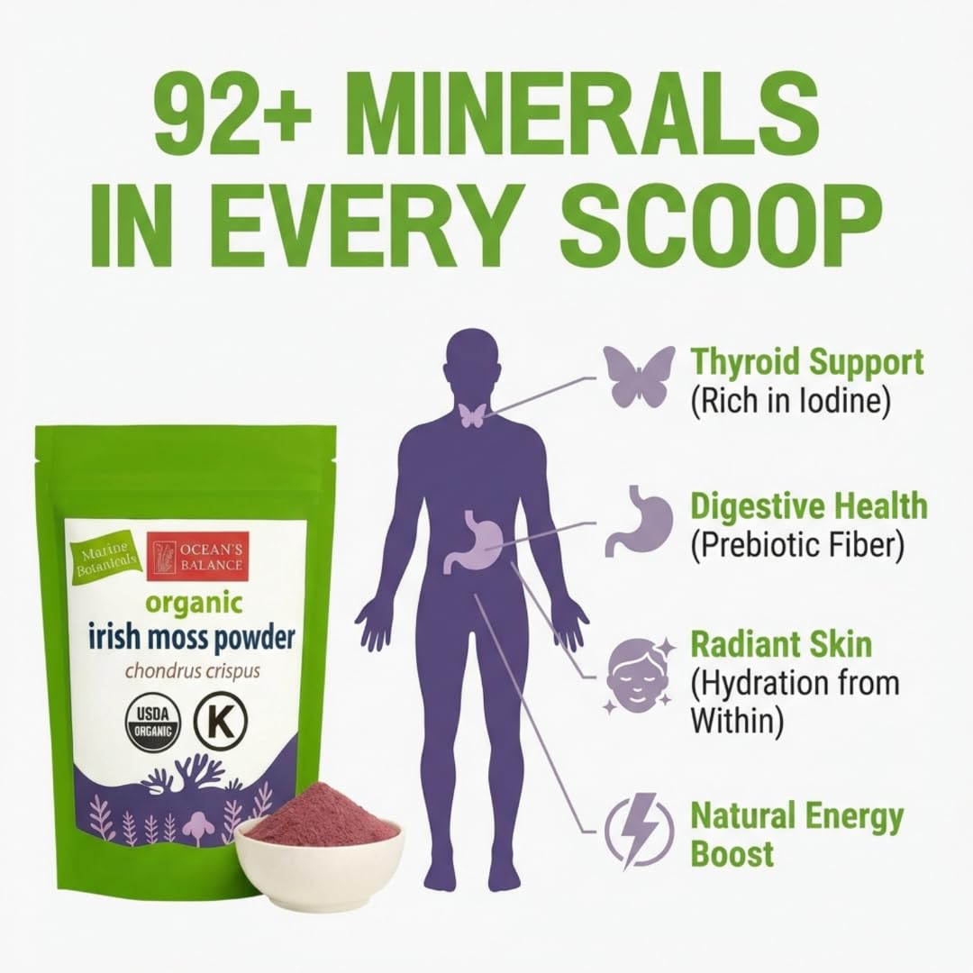 Ocean’s Balance Clean - Wild?Harvested Maine Irish Sea Moss (Chondrus crispus) Powder | Vegan • Lab?Tested Purity • 90+ Mineral Rich • Skin, Thyroid