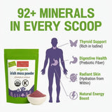 Ocean’s Balance Clean - Wild?Harvested Maine Irish Sea Moss (Chondrus crispus) Powder | Vegan • Lab?Tested Purity • 90+ Mineral Rich • Skin, Thyroid
