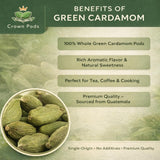 Guatemalan Green Cardamom - Premium Whole Pods