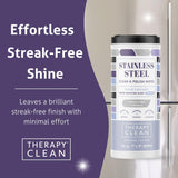 Therapy Stainless Steel Wipes, 30 Count (2 Pack) - Appliance Cleaner for Fridge, Dishwasher, Oven, Stove, Sink, Microwave, and More - Removes Smudges