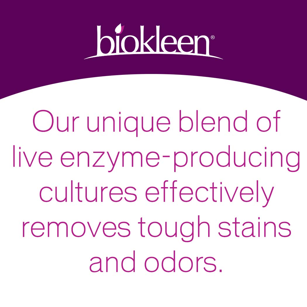 Bio Kleen Bac Out Stain and Odor Cleaner, 16 Ounce - 6 per case6