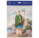 St. Patrick 8"x10" Italian Prints, 3-Count Value Pack