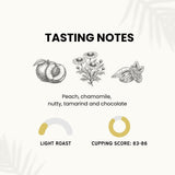 Canopy Point Coffee - Altura Mexican Light Roast, Gourmet Blonde Roast, Air Roasted Arabica Coffee (Whole Bean, 12oz)