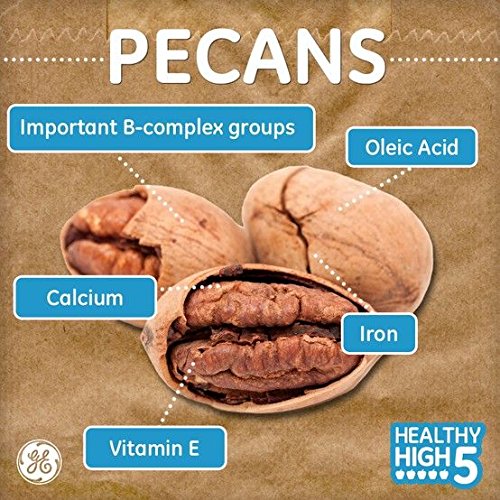 Mascot Fresh Unsalted Mammoth Pecans - 1.2 Pound Gift Basket - Largest Premium Fresh Georgia Pecan Halves Available