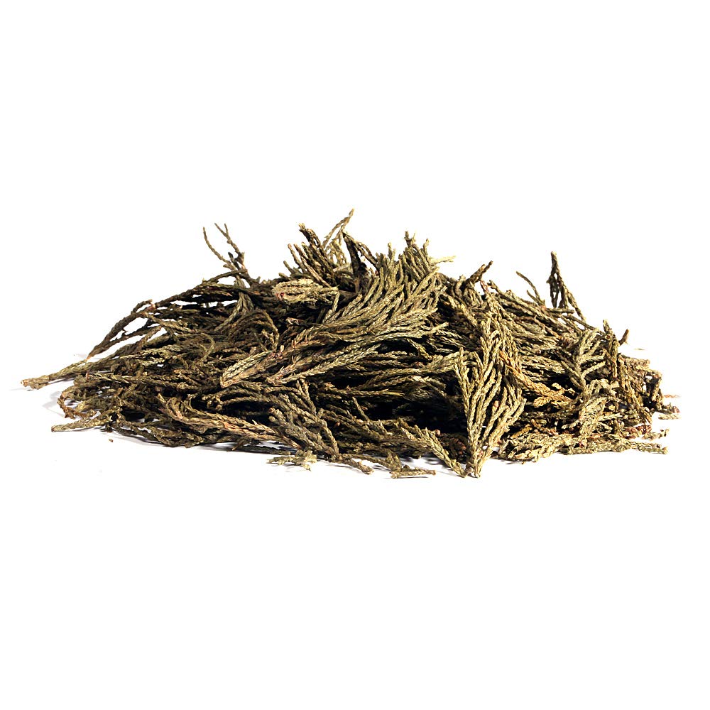 EidolonGreen [China Medicinal Herb] Leaf of Arborvitae (Green leaf of Arborvitae/Thuja/???/???/Ce bai ye) Dried Bulk Herbs (3 Oz / 88g)