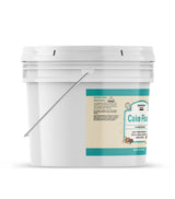 Unpretentious Cake Flour, 1 Gallon, Great For Cakes, Biscuits, Scones, Muffins