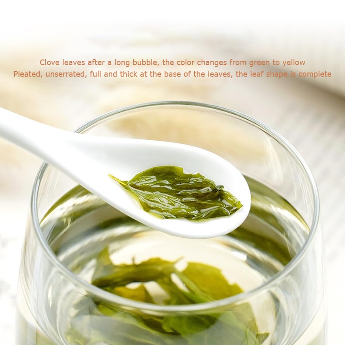 Clove Green Tea Loose Leaf 3.52 oz/100g Whole Leaf Red Cloves Leaves Tea