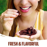 Pitted Dates 1lb pack of Deglet Noor Dates Pitted Bulk No Sugar Added, Delicious and Nutritious Deglet Date Ideal for Baking, Energy Bites and Salads