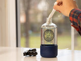 Nantucket Footprint Deluxe Bundle: Laundry Detergant Strips + Window Cleaner Refill Strips + All-Purpose Cleaner Refill Strips + 2 Reusable Glass