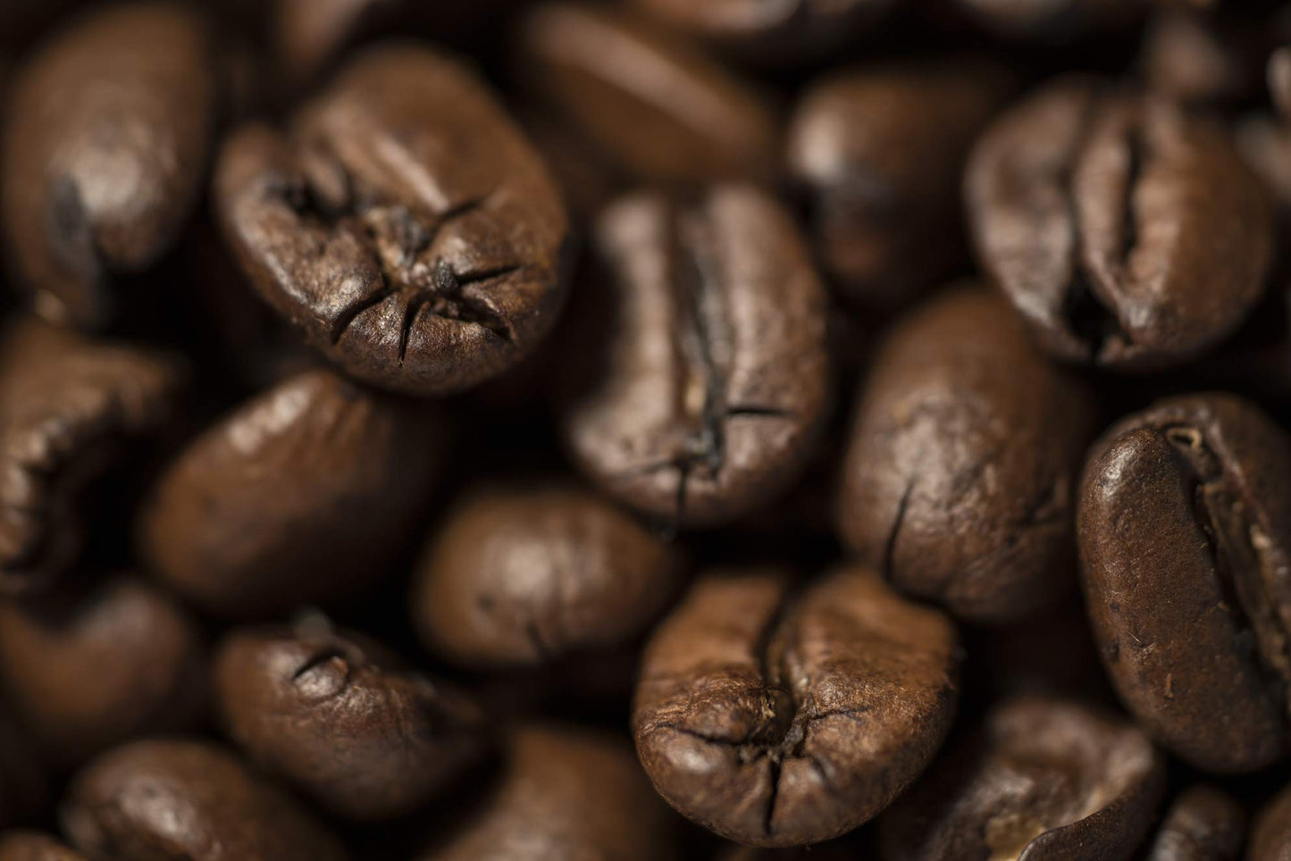 Great Bend Blend - Medium Dark Roast - 2lb bag of Coffee Beans Roasted By Poverty Bay Coffee Co, 2 Pound Bag - Whole Bean Coffee