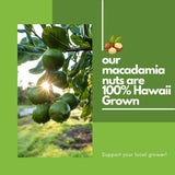 Hawaiian Macadamia Nut Company Premium Whole Kernel Macadamia Nuts, Dry Roasted with Sea Salt, 100% Hawai'i-Grown - Buttery Smooth Crunch, Sustainably