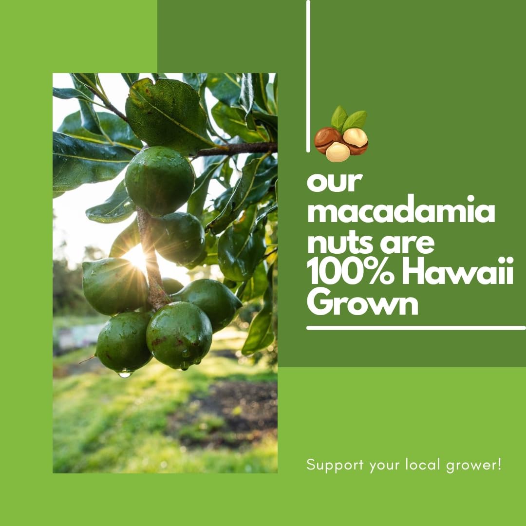 Hawaiian Macadamia Nut Company Premium Whole Kernel Macadamia Nuts, Dry Roasted with Sea Salt, 100% Hawai'i-Grown - Buttery Smooth Crunch, Sustainably
