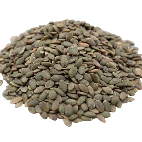 GERBS Sea Salted Pumpkin Seed Kernels 4 LBS|Top 14 Allergy Free Food |Use in salads, yogurt, baking, oatmeal, trail mix|Grown in Canada, packed in US