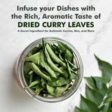 Hebhac Herbs Dried Curry Leaves 0.88 oz (25 g), Aromatic & Fresh - Perfect for Tea, Cooking, Curries & Spices - 100% Natural, Gluten Free, Vegan