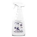 UNCLE STEVE'S® All-purpose Cleaner - Made in the USA - Pet & Kid Friendly - Eco-Friendly - Non-Toxic (1, 20 OZ)