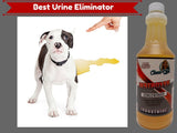 DESTROYER - Best Permanent Urine Stain and Odor Remover. No More Re-Marking. Dissolve and Neutralize the Urine Salts. Spot and Stain Gone for Good.