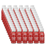 Proper Wild Shot Energy Apple 2.5 fl oz - Energy Shots - Proper Wild Juice Shots - Focus Factor for Work and Study - Pack of 72