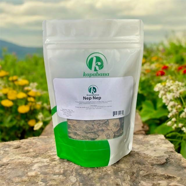 Kopabana NEP NEP Seeds (Acacia nilotica) - 2oz, Heat-Treated Culinary Seeds (Not for Planting)