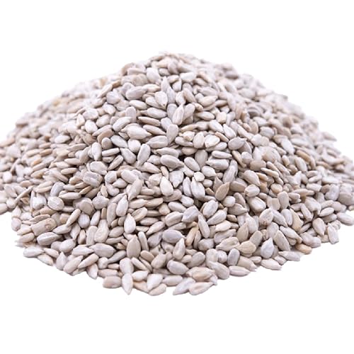 Gerbs Raw Sunflower Seed Kernels 14 oz. | No Artificial Additives, Resealable Bag | Mild & Crunchy | Top 14 Allergen-Free