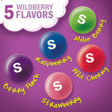 SKITTLES, Wild Berry, 2.17 Ounce