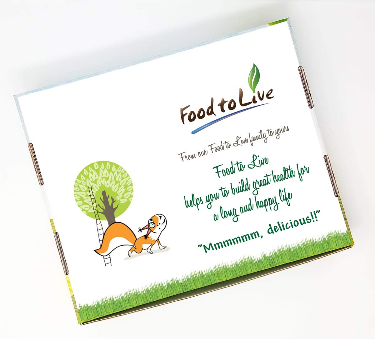 Food to Live Organic Essential Powders Gift Box - Unique Set with Organic Turmeric, Ginger, Garlic, Elderberry, and Broccoli Powders. Great Immunity