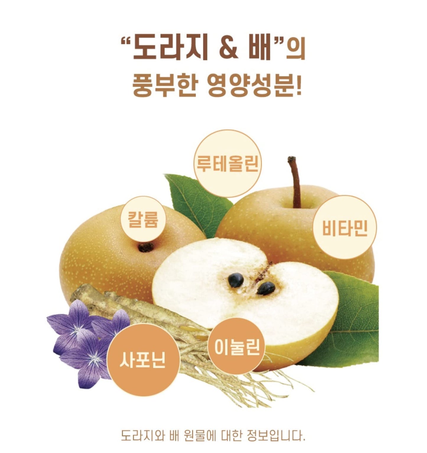 Premium Extract Juice Pouches, Great for Health Benefits (Balloon Flower and Pear, 100ml x 30)