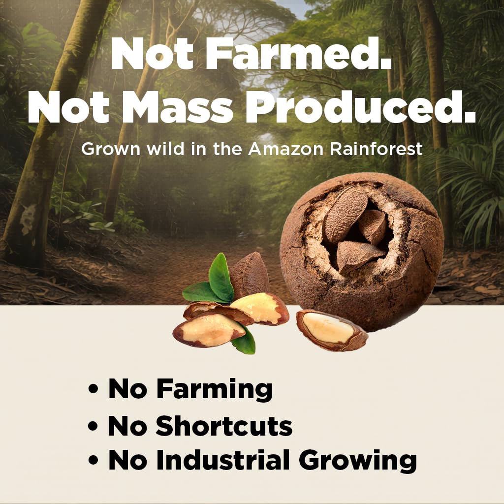Premium Wild Harvested Raw Brazil Nuts, 1 lb (16oz) - High Selenium, Batch Tested Peanut & Gluten Free, Non-GMO, Kosher, Resealable Bag