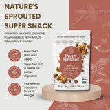 Purely Sprouted Apple Cinnamon Snack Mix - Almonds, Cashew Nuts & Pumpkin Seeds - Non-GMO, Plant-Based Protein, Gluten Free, Vegan, 4 oz
