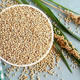 Nature Nate’s Popped Sorghum, Popcorn Alternative, Avocado Oil Sea Salt - Sorghum, Keto & Gluten Free, Healthy Snacks, Better Than Popcorn, Made in