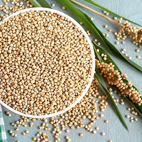 Nature Nate’s Popped Sorghum, Popcorn Alternative, Avocado Oil Sea Salt - Sorghum, Keto & Gluten Free, Healthy Snacks, Better Than Popcorn, Made in