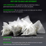 Gynostemma Tea - USDA Organic Jiaogulan Pyramid Teabags - Caffeine-Free Longevity Herbal Tea - 30 Pyramid Tea Bags