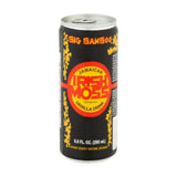 Big Bamboo Jamaican Irish Moss Vanilla Drink, 9.8 fl oz (4 Pack) | Traditional Caribbean Energy & Nutritional Beverage | Made with Sea Moss, Milk