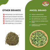 Angel Brand Moringa Leaves 0.25 oz - 20g Pack, Pack of 3 - Dried Moringa Leaves for Tea, Cooking, and
