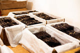 4 oz Burundi Vanilla Beans Whole Grade A Vanilla Pods for Homemade Vanilla Extract, Baking, Ice Cream, Flavoring, & Vanilla Powder