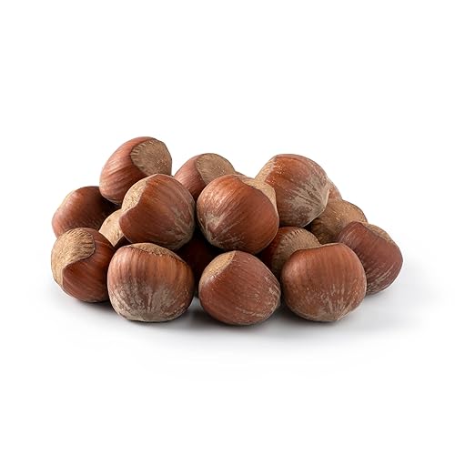 NUTS U.S. - Oregon Hazelnuts In shell | Whole, Raw and Unsalted | No Added Flavor and NON-GMO | Fresh Buttery Taste and Easy to Crack | Natural