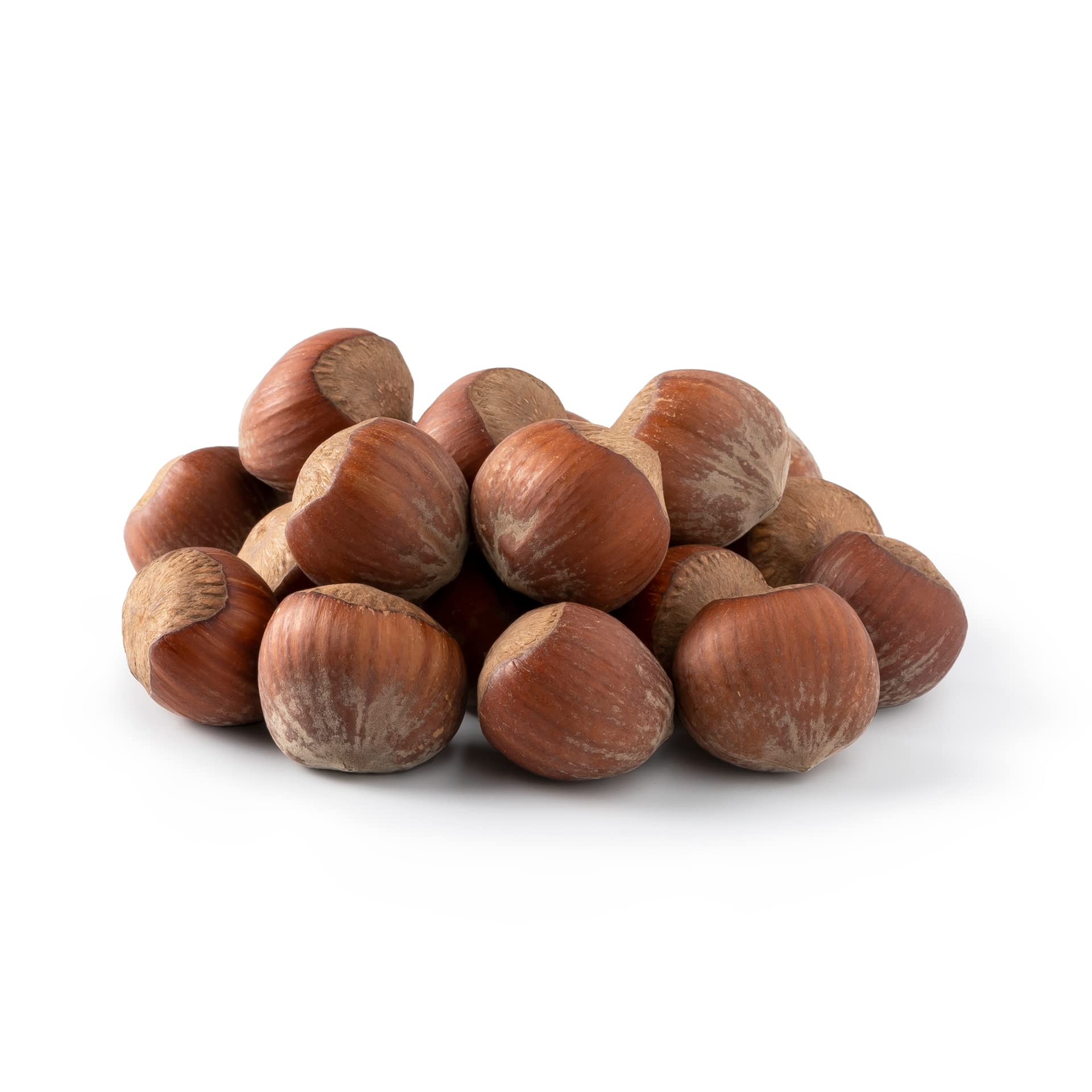 NUTS U.S. - Oregon Hazelnuts In shell | Whole, Raw and Unsalted | No Added Flavor and NON-GMO | Fresh Buttery Taste and Easy to Crack | Natural