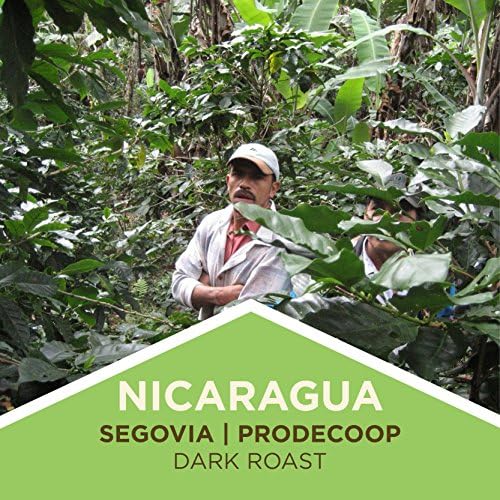 Tiny Footprint Coffee - Fair Trade Organic Nicaragua Segovia Dark Roast | Whole Bean Coffee | USDA Organic | Fair Trade Certified | Carbon Negative |