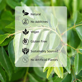 Hebhac Herbs Dried Curry Leaves 0.88 oz (25 g), Aromatic & Fresh - Perfect for Tea, Cooking, Curries & Spices - 100% Natural, Gluten Free, Vegan