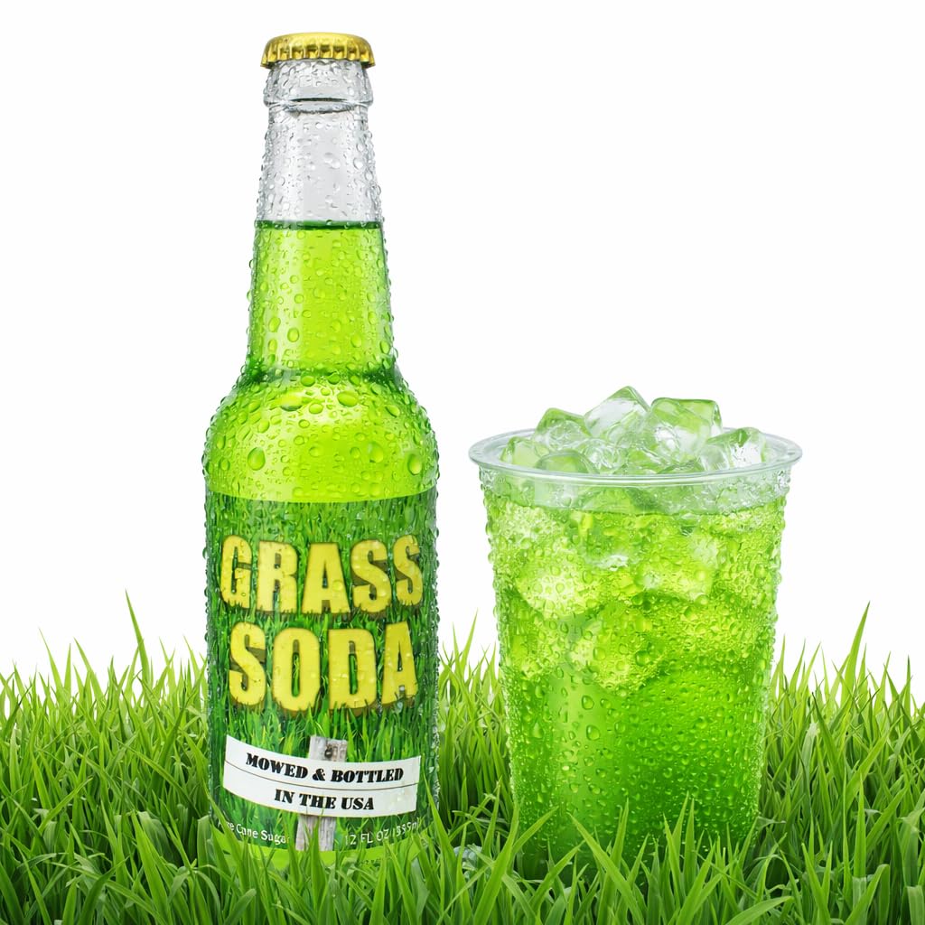 Rocket Fizz Grass Soda Flavor | Cane Sugar | Craft Soda Pop Drinks | 12 oz in Glass Bottle (1 Bottle)