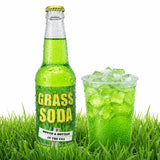 Rocket Fizz Grass Soda Flavor | Cane Sugar | Craft Soda Pop Drinks | 12 oz in Glass Bottle (1 Bottle)