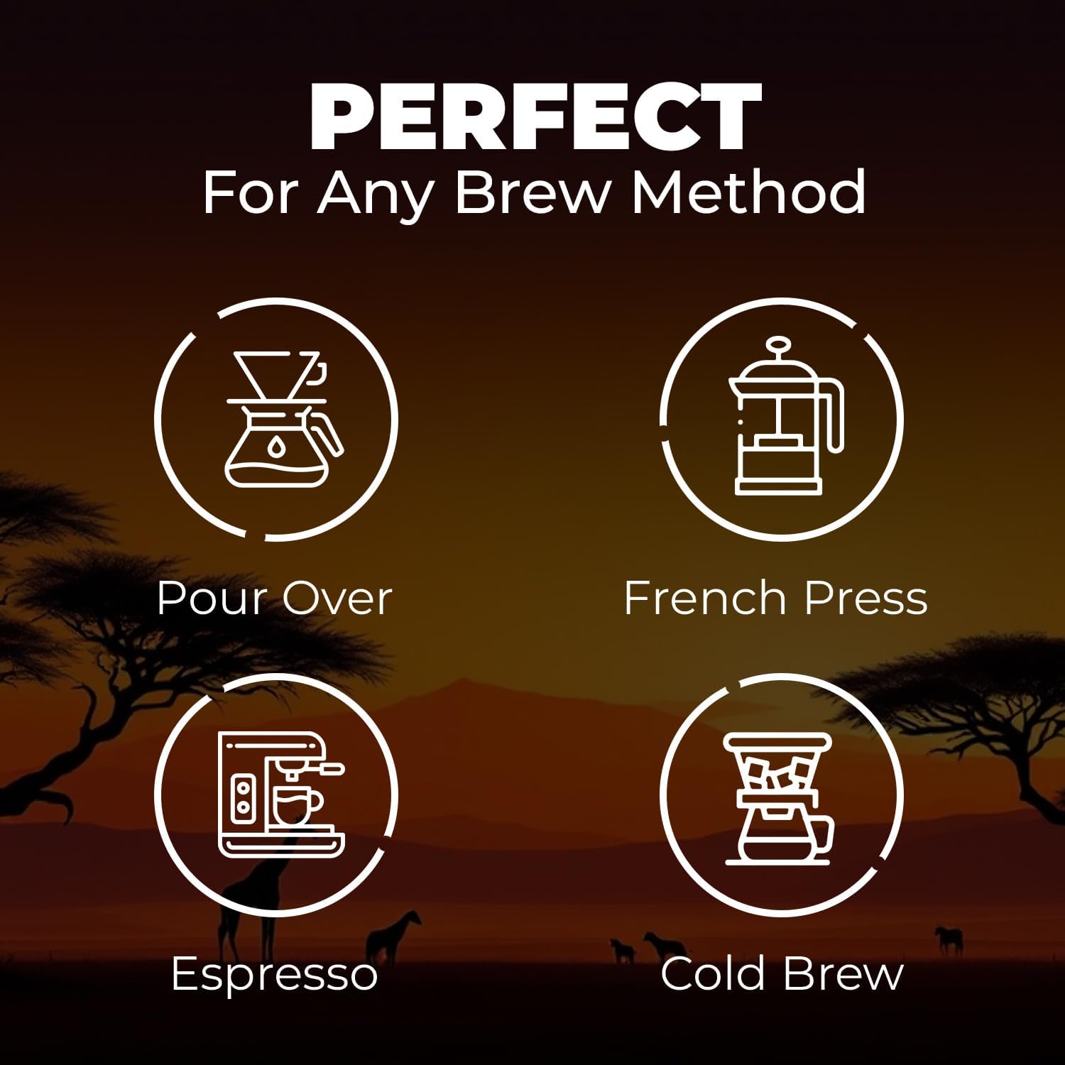 Premium Kenyan Whole Coffee Beans | Specialty Single Origin Freshly Roasted Coffee Beans | Rich Flavor for Espresso and Cold Brew | Freshly Roasted