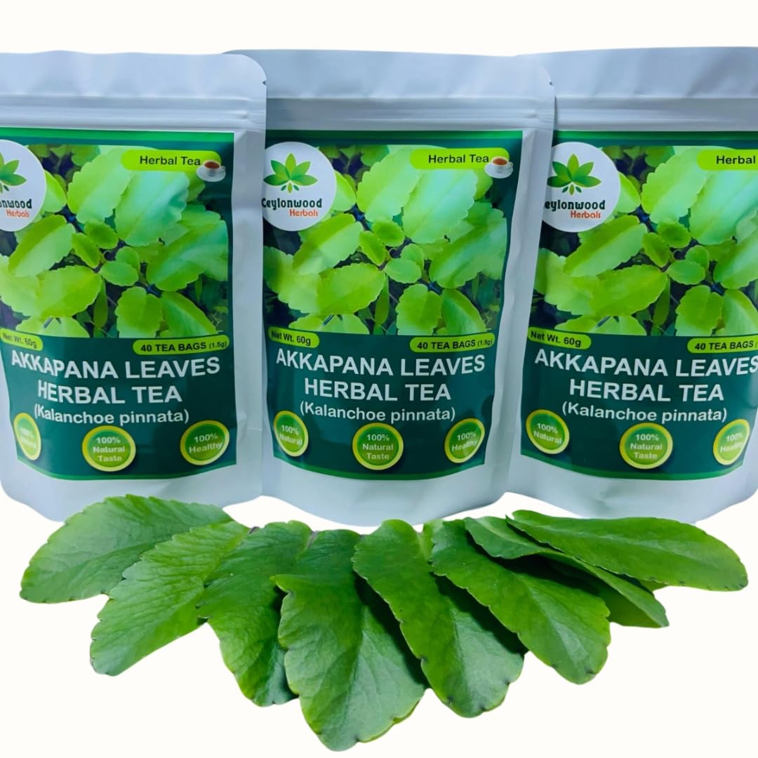 Organic Kalanchoe pinnata Leaves Tea, miracle leaf air plants Bryophyllum Pinnatum Herbal Tea, 40 Tea Bags/ 1.5g