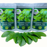 Organic Kalanchoe pinnata Leaves Tea, miracle leaf air plants Bryophyllum Pinnatum Herbal Tea, 40 Tea Bags/ 1.5g