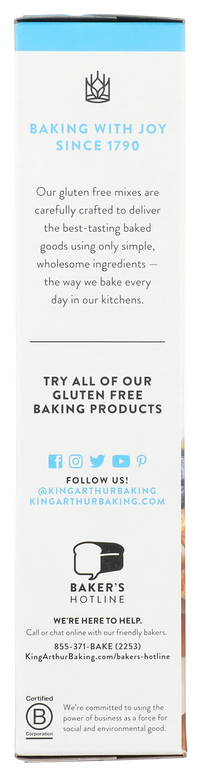 King Arthur Flour, 24 oz