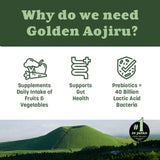 NIHON YAKKEN Golden Aojiru Green Superfood Powder - Japanese Barley Grass Juice with 25+ Vegetables, Prebiotic & Enzymes - Gluten Free, Green Juice
