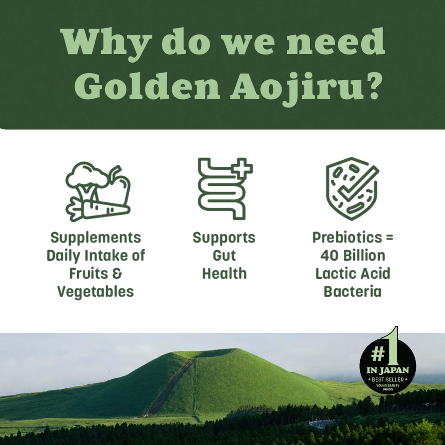 NIHON YAKKEN Golden Aojiru Green Superfood Powder - Japanese Barley Grass Juice with 25+ Vegetables, Prebiotic & Enzymes - Gluten Free, Green Juice