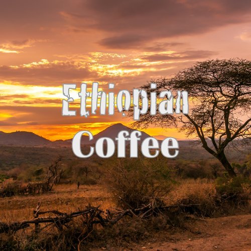 Signature Coffee Bundle, Whole Bean, Medium Roast, 3 X 16-ounce, Guatemala Antigua, Ethiopian Yirgacheffe, Colombia Supremo