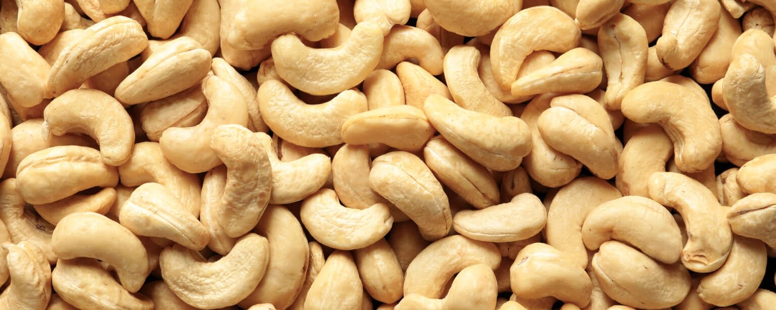 Roasted Salted Cashews 1LB Bag - Marvelous Cashews